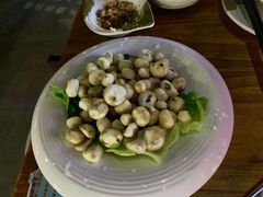 -润青四季音乐主题餐厅·椰子鸡(罗湖店)