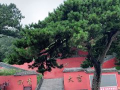 -妙峰山风景名胜区