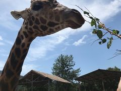 -西安秦岭野生动物园