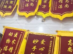 -瑞派名望志远动物医院·猫科·內科·异宠专科(直港大道店)
