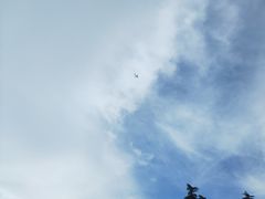 -上海鲜花港