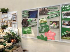 -SENTEA森茶(麦地丽日店)