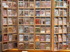 -猫的天空之城概念书店(束河店)