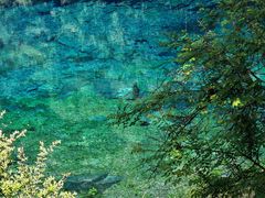 -叠溪松坪沟景区