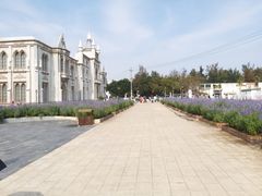 -玫瑰海岸文化旅游度假区