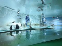 -北戴河圣蓝海洋公园