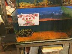 -真浪花园海鲜餐馆