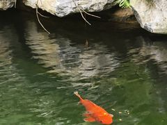 -明仕田园