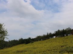 -望天湖