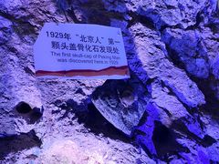 -周口店北京人遗址公园