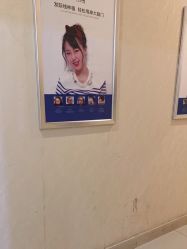 -碧莲盛·不剃发植发