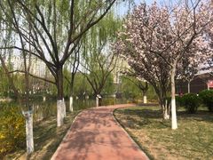 -南翠屏公园