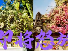 -深圳国际园林花卉博览园