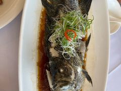 -骏莱海鲜鱼港(五角场店)