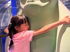 -Hi City·城市之巅