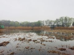 -西湖风景区-江洋畈生态公园