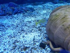 -海合安武汉极地海洋公园