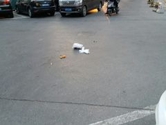 -芍药居北里