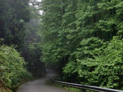 -山王坪喀斯特国家生态公园