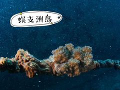 -鹿回头风景区