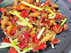 -兄弟·南瓜田鸡