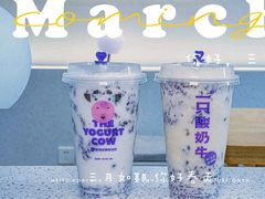 -一只酸奶牛(来福士店)