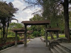 -晓港公园