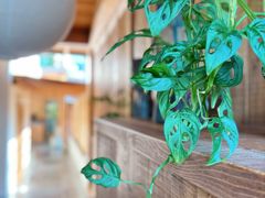 -汉唐驿-唐风美学民宿