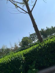 -HEYAN长风荷妍专业脱毛美肤
