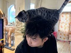 -小时光咖啡馆(开森度假森林店)