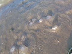 -东戴河风景区-止锚湾