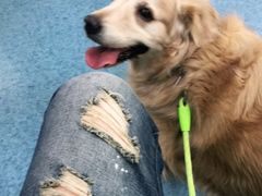 -北京赛佳动物医院