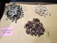 -广东中医药博物馆