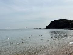 -棒棰岛宾馆景区