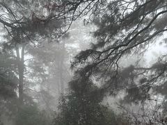 -敬亭山风景名胜区