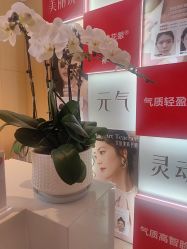 -Yestar艺星医疗美容医院