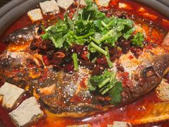 -师烤·豆花烤鱼(广州荔湾扬韬广场店)