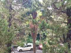 -南京航空航天大学(明故宫校区)