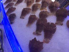 -澜悦港海鲜体验主题餐厅