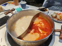-濠七糟粕醋•海南酸汤火锅(中关村店)