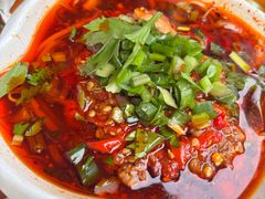 -南街杨记·麻辣烫