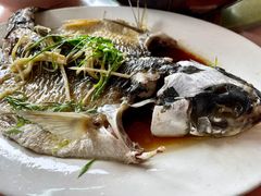 -天强农家菜馆