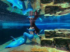 -上海玛雅海滩水公园