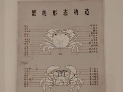 -1868 Café(上海自然博物馆店)