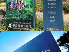 景点-罗红摄影艺术馆