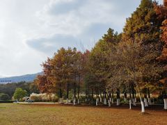 -长广溪湿地公园