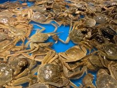 -星伦多自助料理·涮烤一体(杭州来福士店)