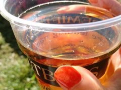 -布里斯托尔国际热气球节