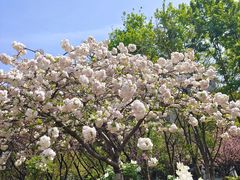 -江南大学(蠡湖校区)