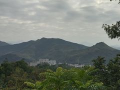 -梧桐山风景名胜区